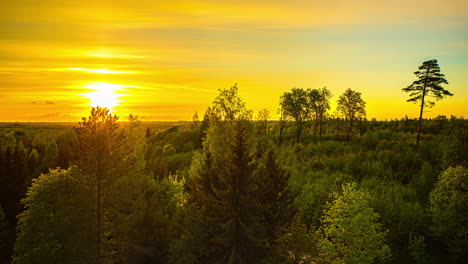 beautiful yellow sunset reflecting the lights over a green boreal forest