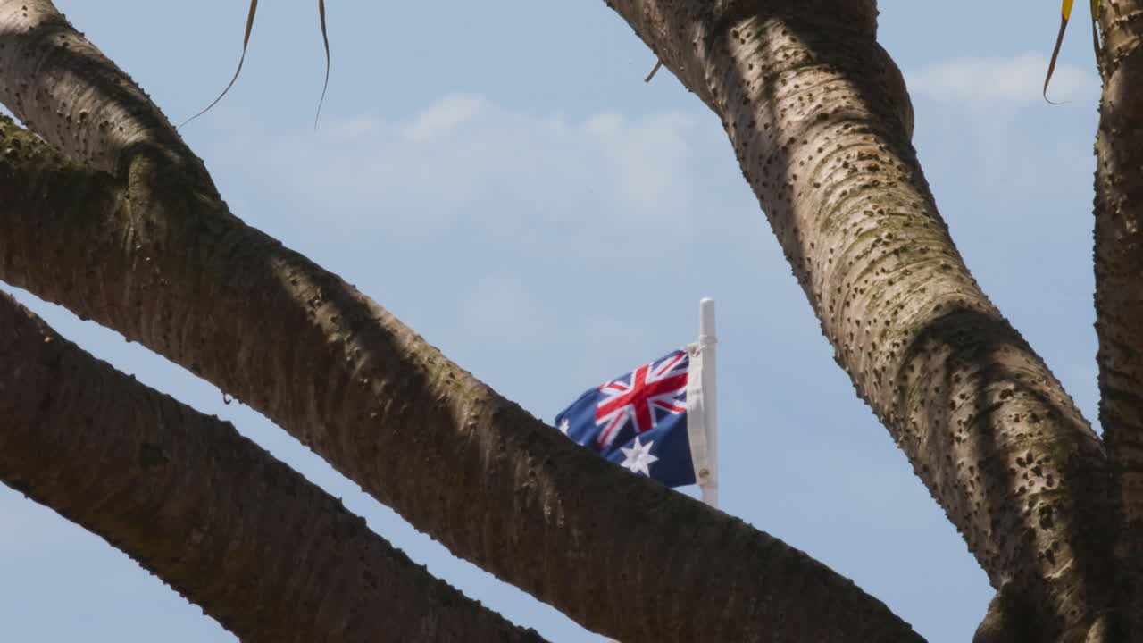 bandera ondeando detrás de las ramas de los árboles en la playa de currumbin