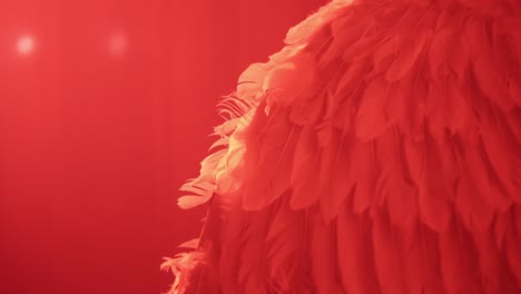 cinematic slow motion zoom shot of white feathered wings in a red light environment