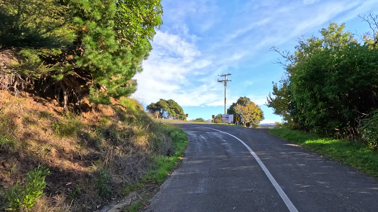 A serene drive along a winding road in Akaroa, surrounded by lush greenery and clear skies, captured in daylight