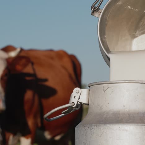 farmer pours milk into a can with a cow in the background 1