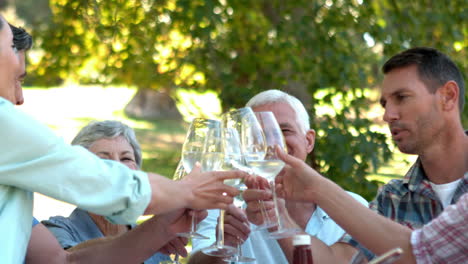 Ancianos-Felices-Brindando-Con-Su-Familia