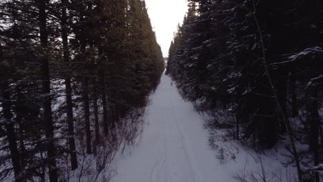 Durch-Die-Lichtung-Im-Schneebedeckten-Winterwald-Fliegen