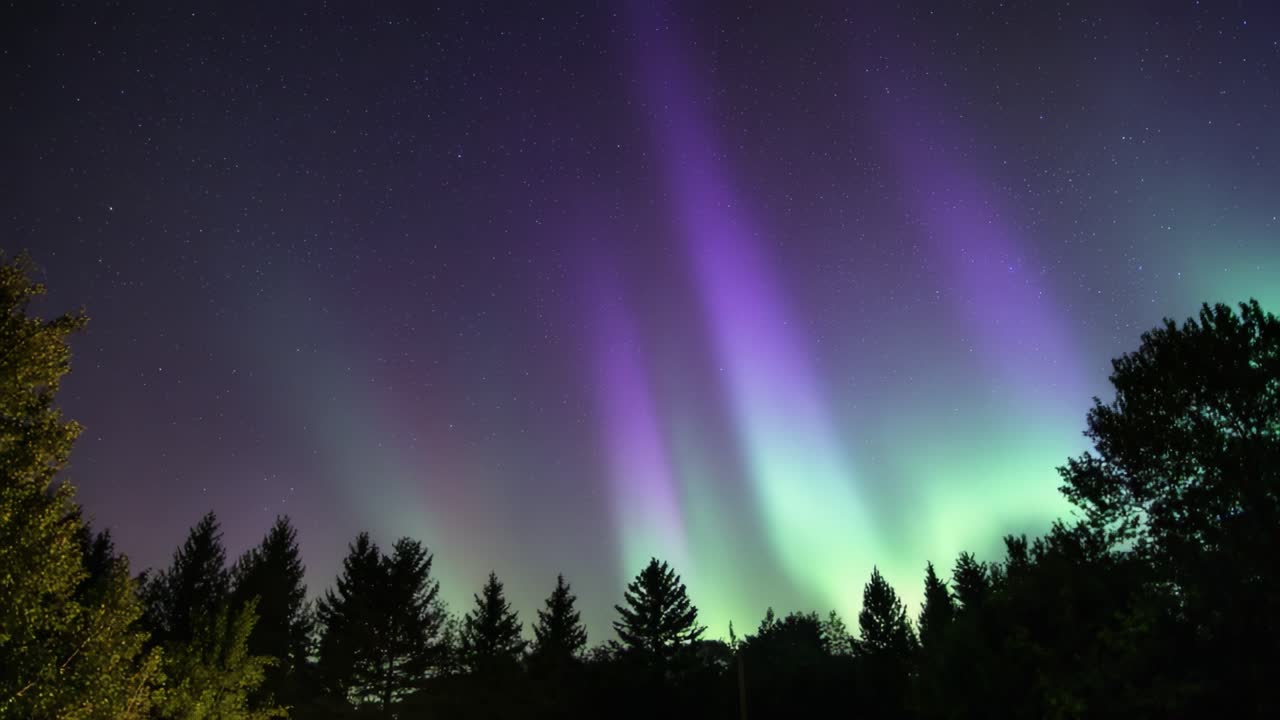 Spectacular display of vibrant auroras lighting up the night sky, illuminating the landscape with hues of purple and green against a backdrop of silhouetted trees and stars