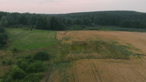 View-of-forest-and-field-in-Kolbudy,-Kaszubia,-pomorskie,-Poland