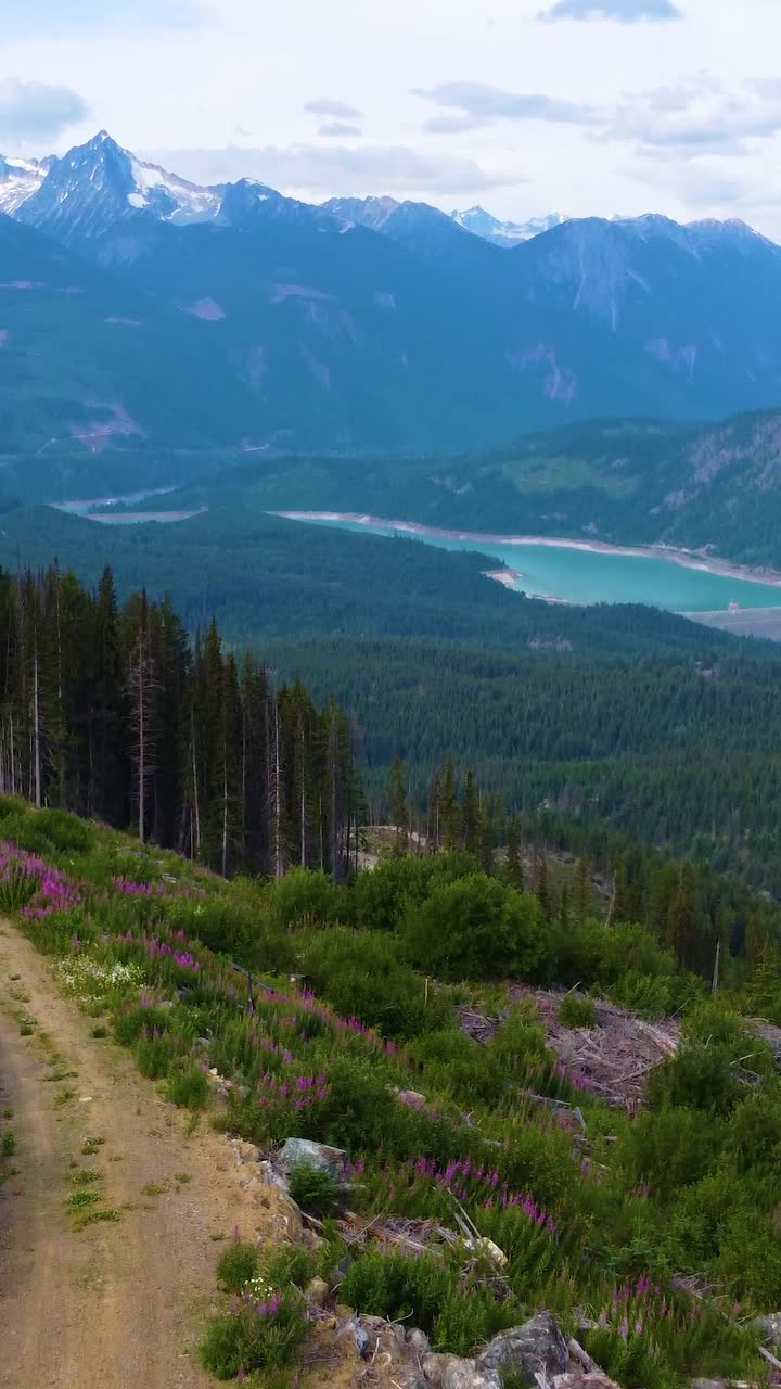 Vista maestosa sulle montagne con foresta, fiori di campo e lago turchese
