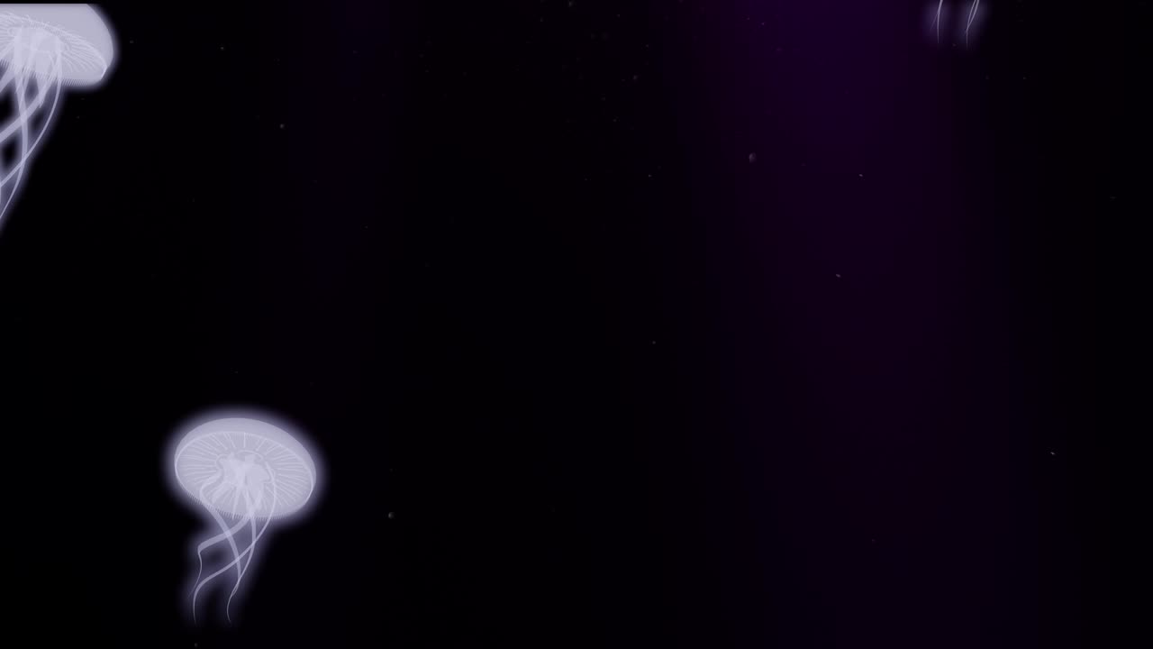 바다에서 반이는 수달 3d 애니메이션 루프