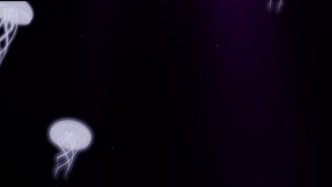 medusas brillantes en un bucle de animación en 3d del mar