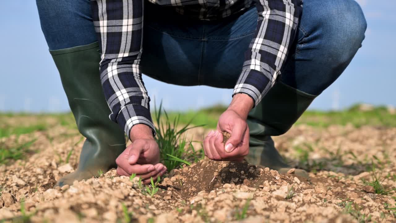 Male hands touching soil on the field. Expert hand of farmer checking soil health before growth a seed of vegetable or plant seedling. Business or ecology concept. High quality 4k footage