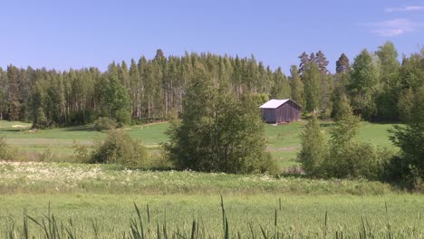 prado con cabaña en finlandia en un día ventoso