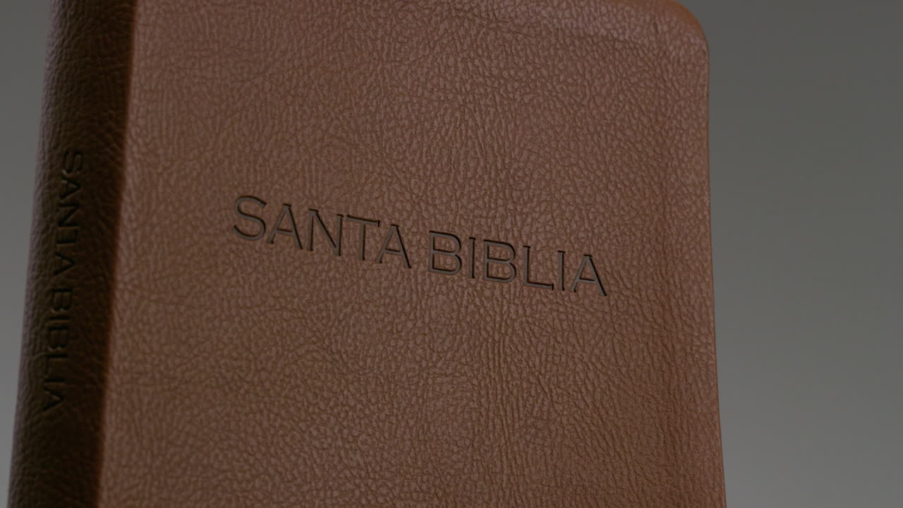 Bibbia in pelle marrone, Bibbia spagnola, Santa Bibbia spagnola, Bibbia cristiana Reina Valera