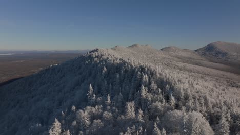 scenery of snowy forest on the mountains of southern quebec in canada