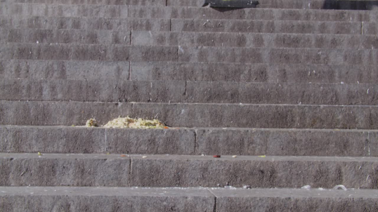 펜 스테이션 뉴욕시 근처에서 먹이를 먹고 날아가는 비둘기 - 슬로우 모션