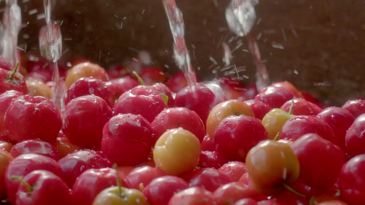 Frutti succulenti e gustosi lavati, ispezione manuale e processo di produzione.