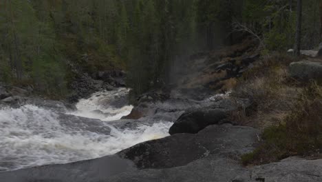 cascada que fluye en los bosques de noruega