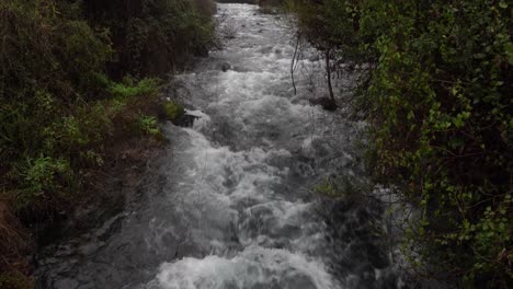 aguas torrenciales del río jordan en tel dan