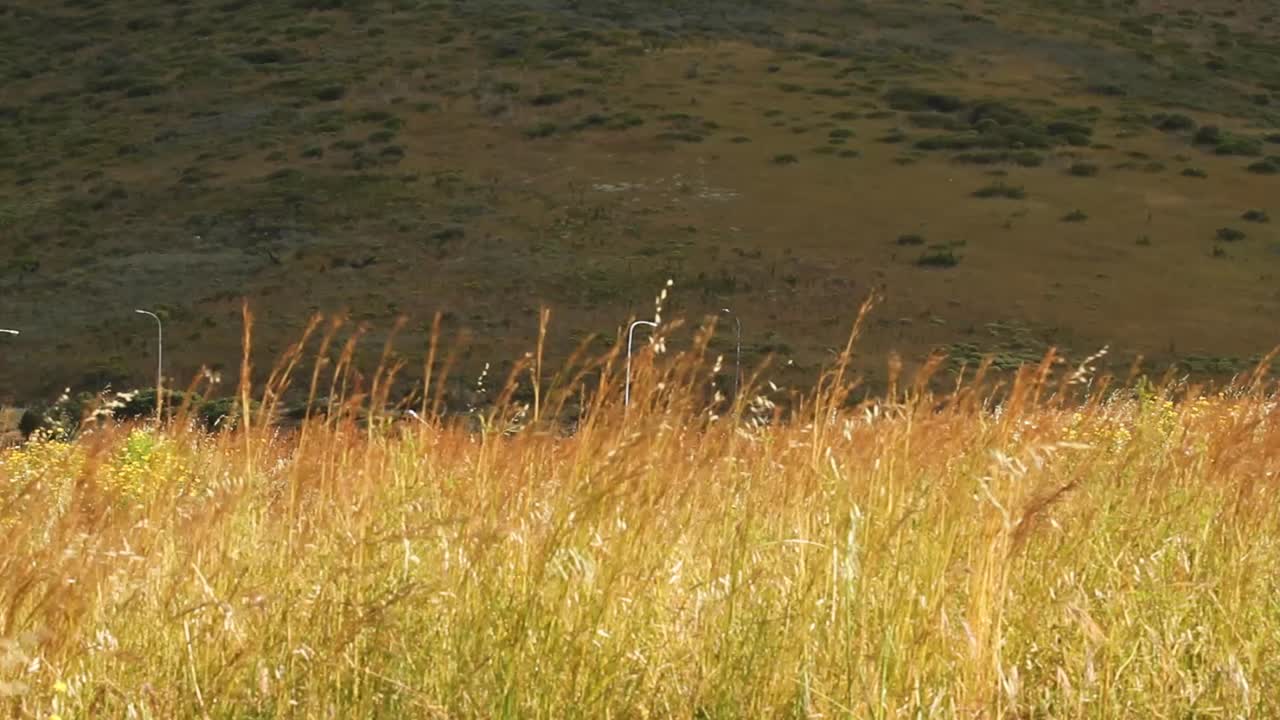 오늘날 6구역이 어떻게 생겼는지