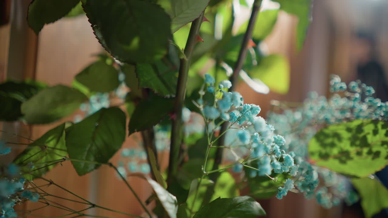 Close-up shot of blue flowers in bouquet with bright sunlight highlighting leaves and petals, indoor setting with wooden background, bringing a peaceful and serene atmosphere with vibrant colors