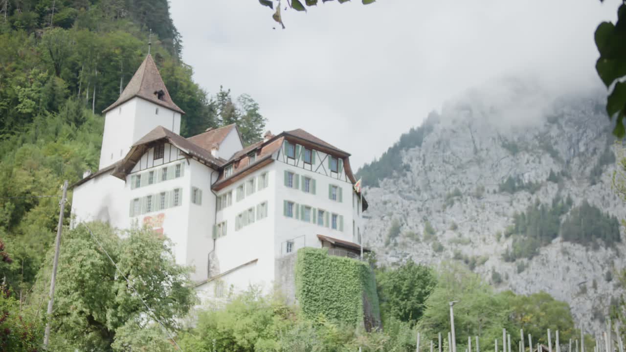 виммис швейцария европа сельская деревня виноградник гора