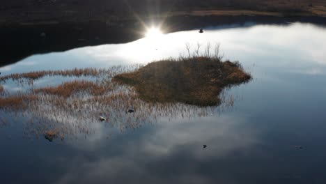 un trozo de hierba marchita en medio del lago poco profundo