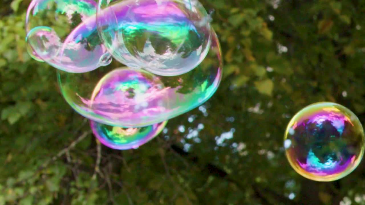 Vivaci bolle di sapone arcobaleno fluttuano e brillano davanti a fitta vegetazione verde estiva.