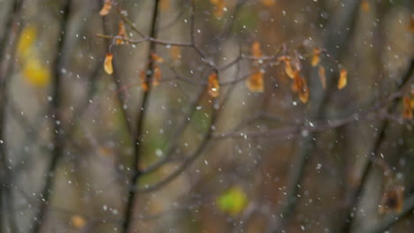 Nevadas-En-El-Frío-Día-De-Otoño