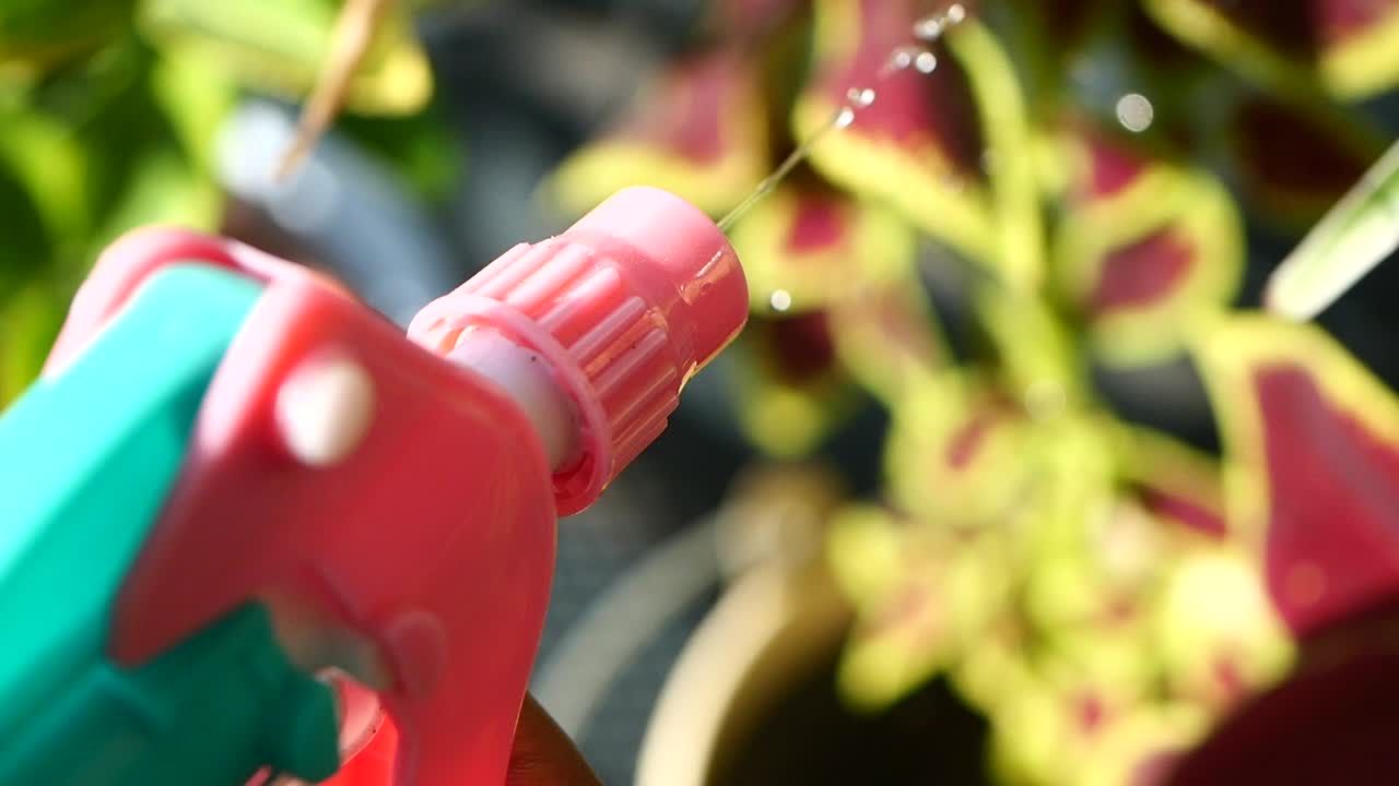 primer plano de una botella de spray rosa y verde
