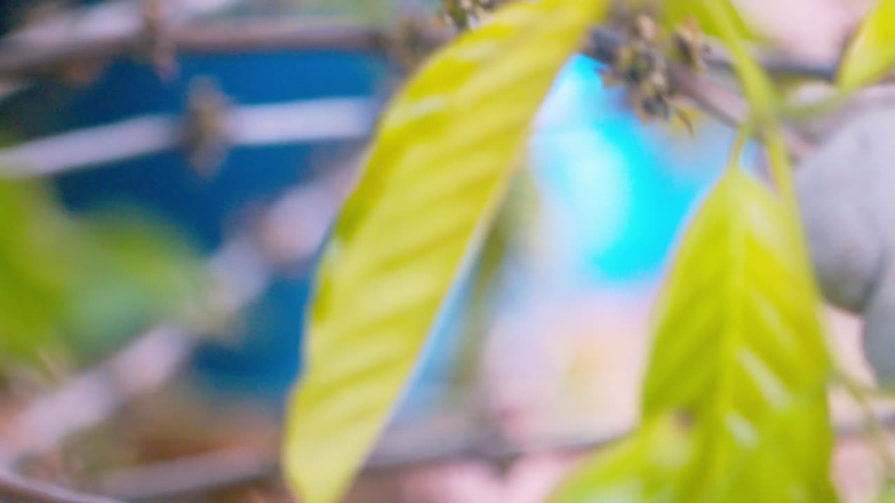 recogida manual, selección segura, guantes de protección, tareas de trabajo en la industria