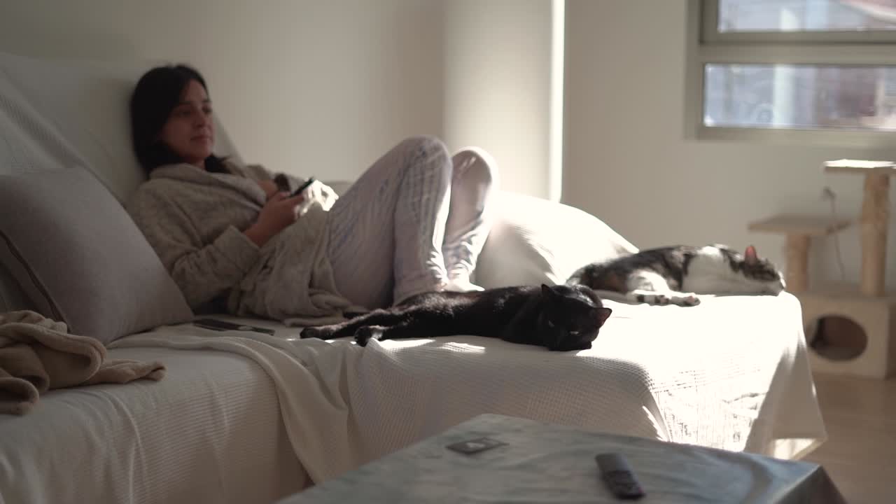 고양이가 집 안에서 소파에 앉아 잠을 자고 있다