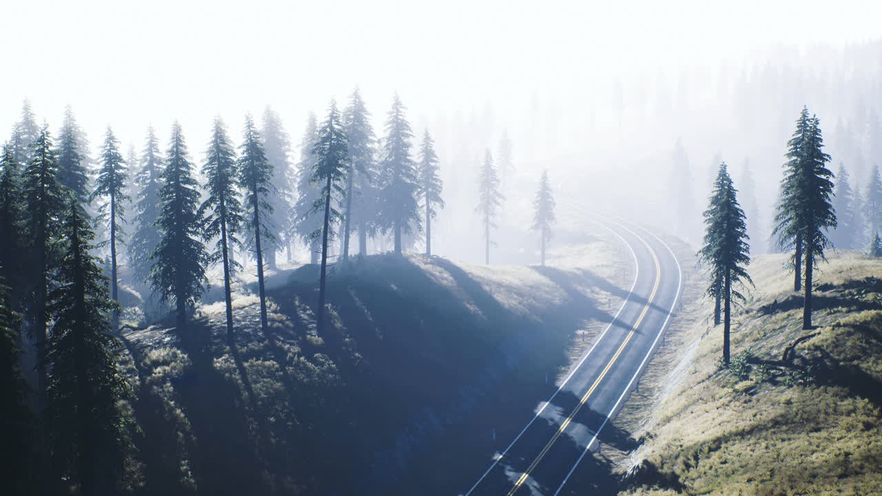 Journey through a misty forest along winding railways in early morning