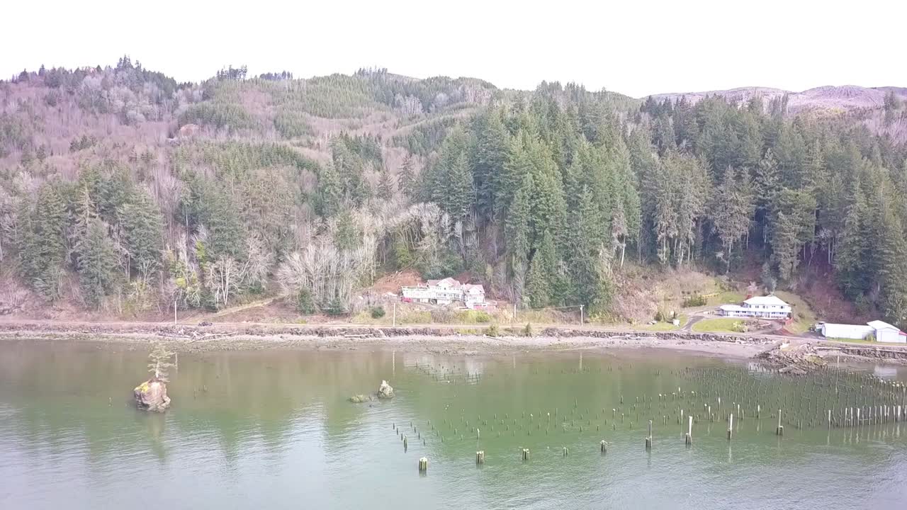 드론 1080p로 만에 있는 바위 위의 나무 위를 날다