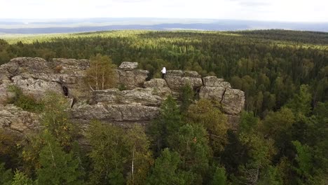 person standing on rocky mountaintop with forest landscape