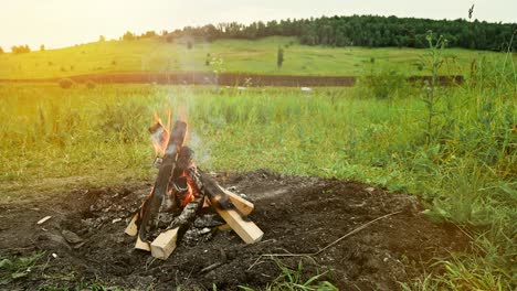 burning bonfire in nature during the camping.