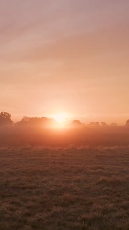 el amanecer sobre un campo de niebla