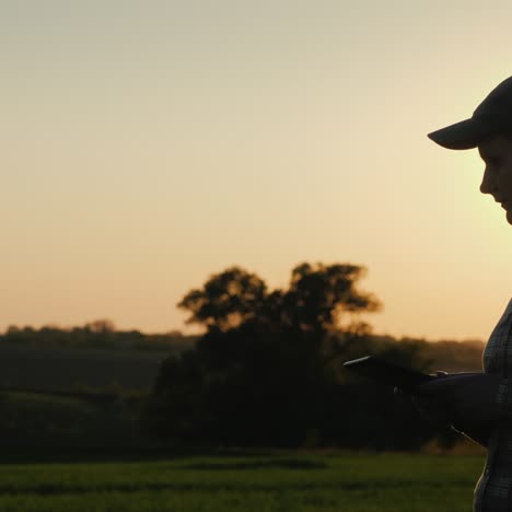 The-Silhouette-Of-A-Farmer-Walks-Along-A-Wheat-Field-With-A-Tablet-In-His-Hand