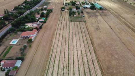 Campos-De-Dos-Torres,-Córdoba,-España,-Mostrando-Extensos-Campos-Agrícolas,-Vista-Aérea