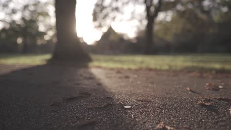 4K-Zeitraffer-Auf-Bewegungsschieber,-Der-Eine-Münze-Auf-Dem-Boden-In-Einem-Park-Zeigt