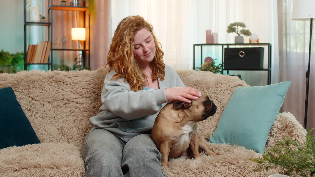 Young woman gently petting pug dog on home sofa with affection and calm expression in quiet moment