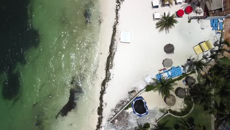 Cenital-drone-shot-of-the-turtle-beach-in-Cancun