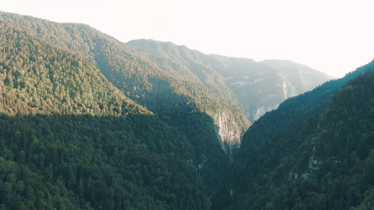 울창 한 숲 이 있는 산 계곡