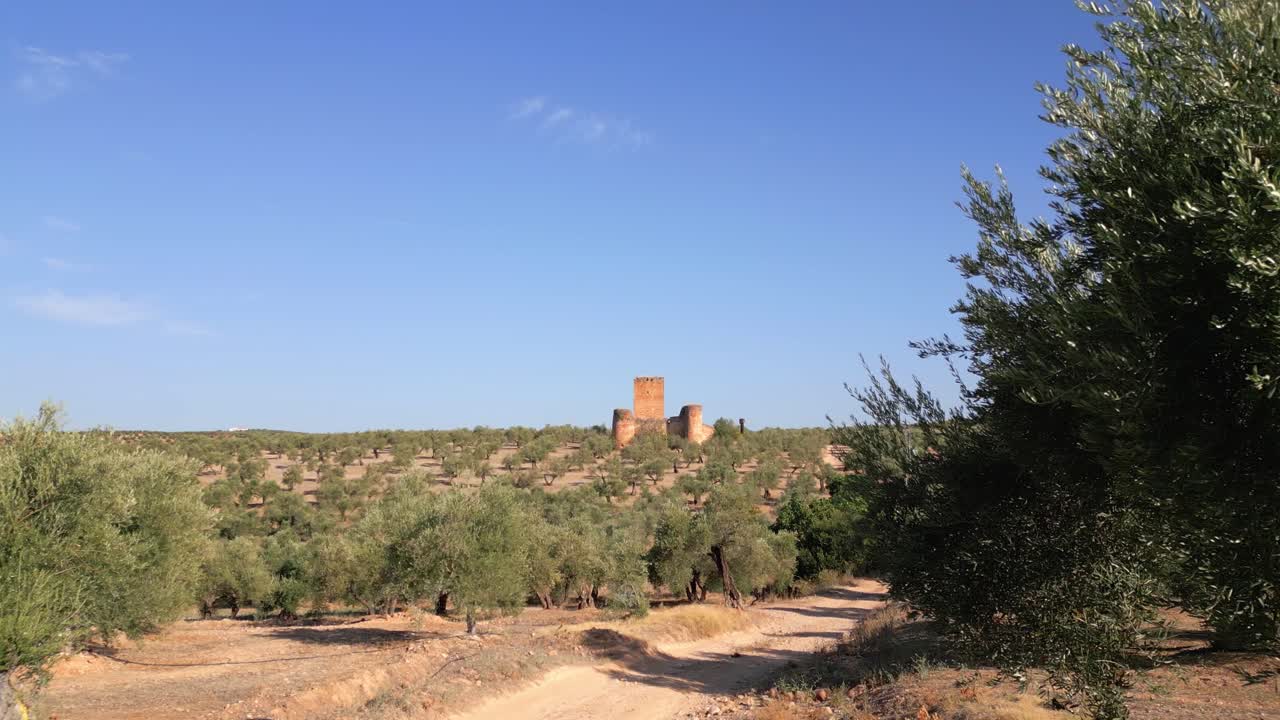 The medieval castle of Aragonesa standing on a hill covered with olive trees. Sunny day with blue sky. Shot behind the bush. Andalusia, southern Spain
