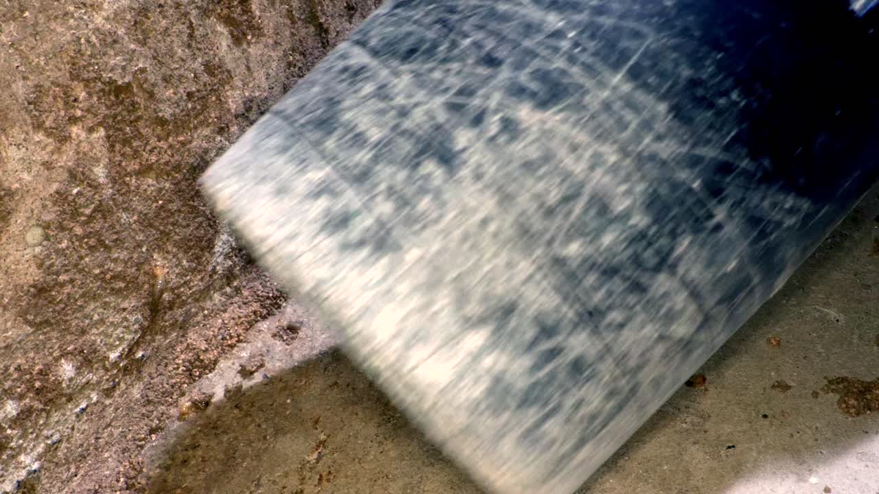 느린 동작으로 흰개미 식민지를 진공 청소기로 청소