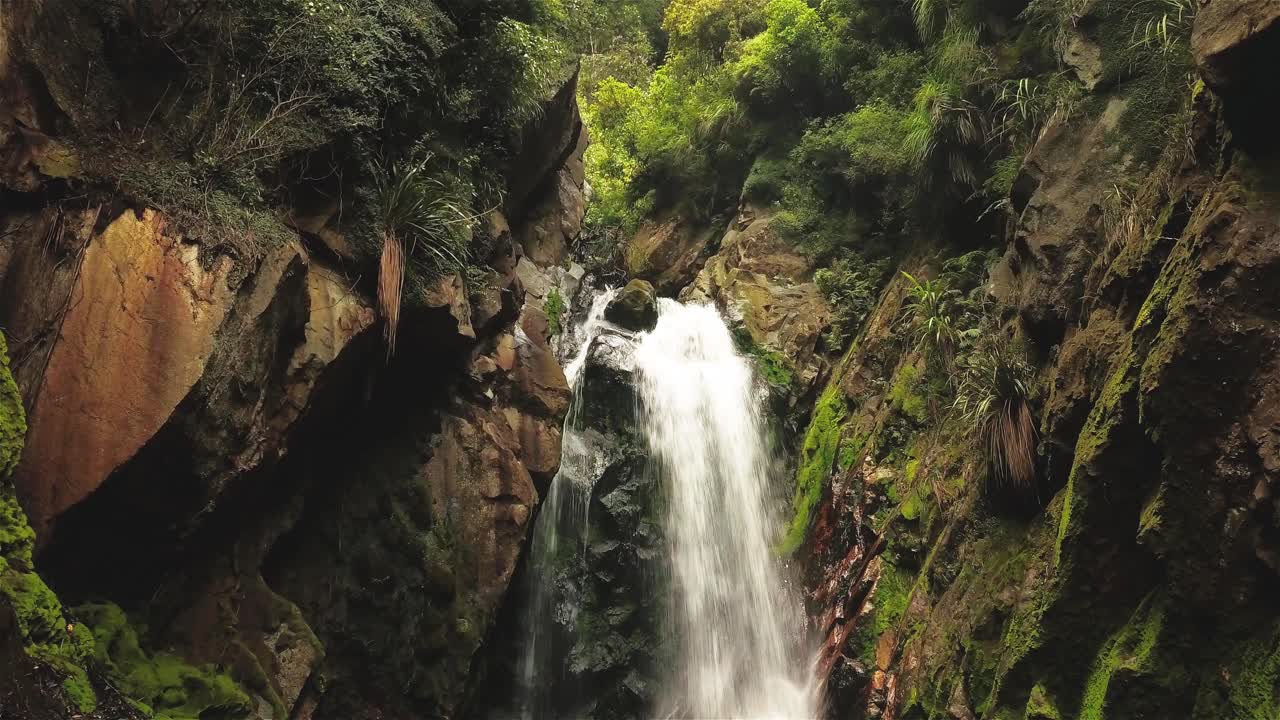 hermosa naturaleza alrededor de la cascada millerton en nueva zelanda - toma estable de mano