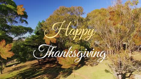 Animation-of-happy-thanksgiving-text-and-autumn-leaves-floating-against-aerial-view-of-forest-park