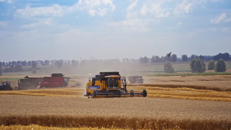 Harvesting of wheat field. Agricultural machine ride in the field of golden ripe wheat