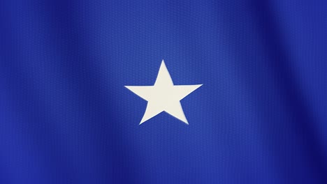 somalia flag waving animation. full screen. symbol of the country