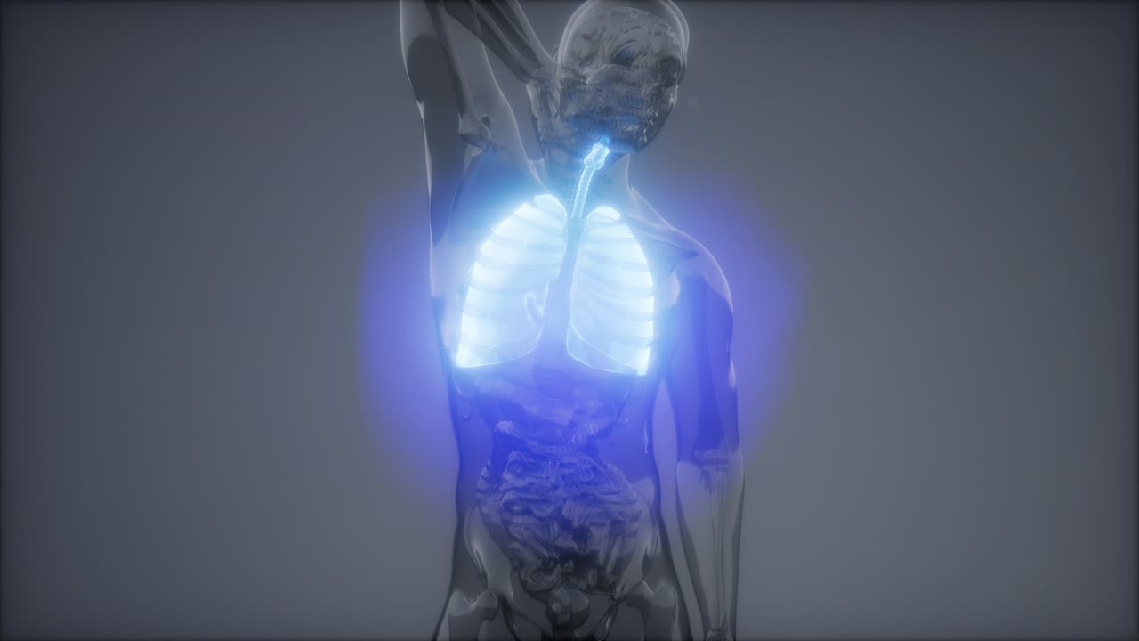 인간의 폐 방사선 검사