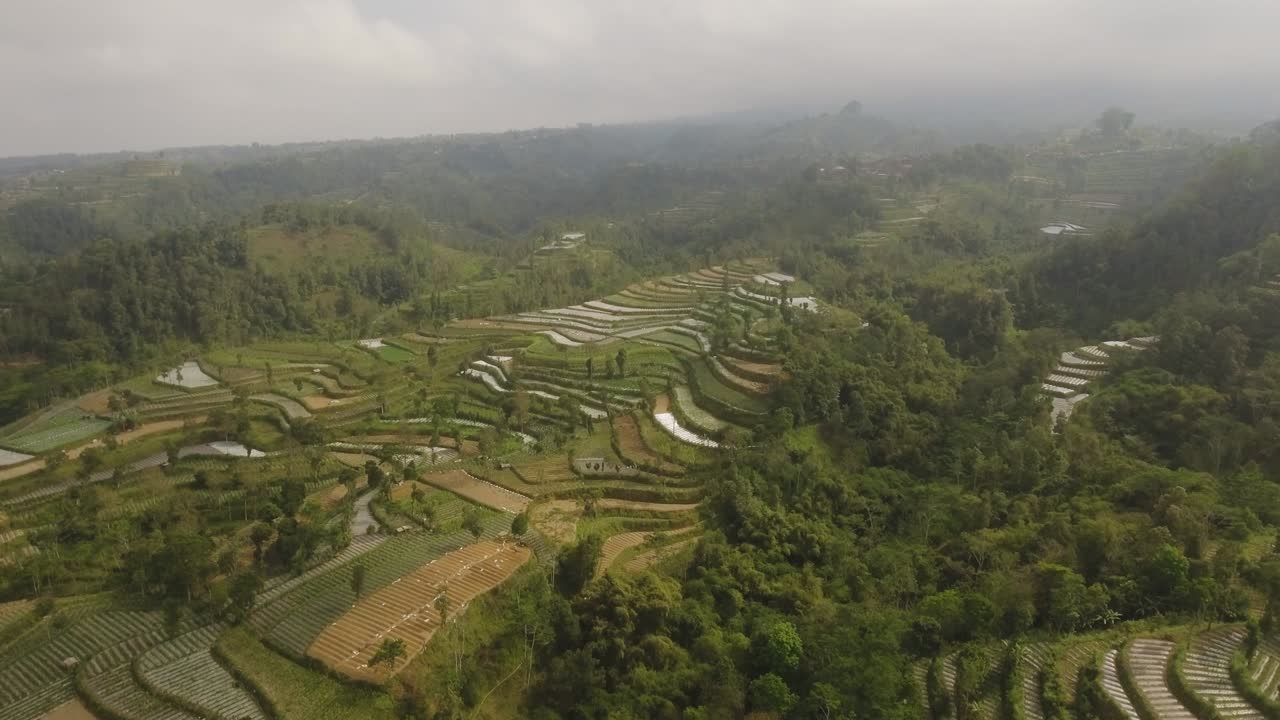 paisaje tropical con tierras de cultivo en las montañas