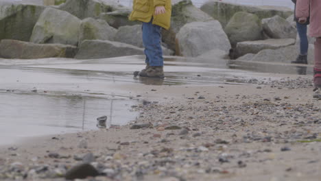 children on the seashore wade near the splashing waves of the beach