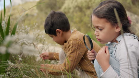 Entdecken,-Natur-Und-Kinder-Erkunden